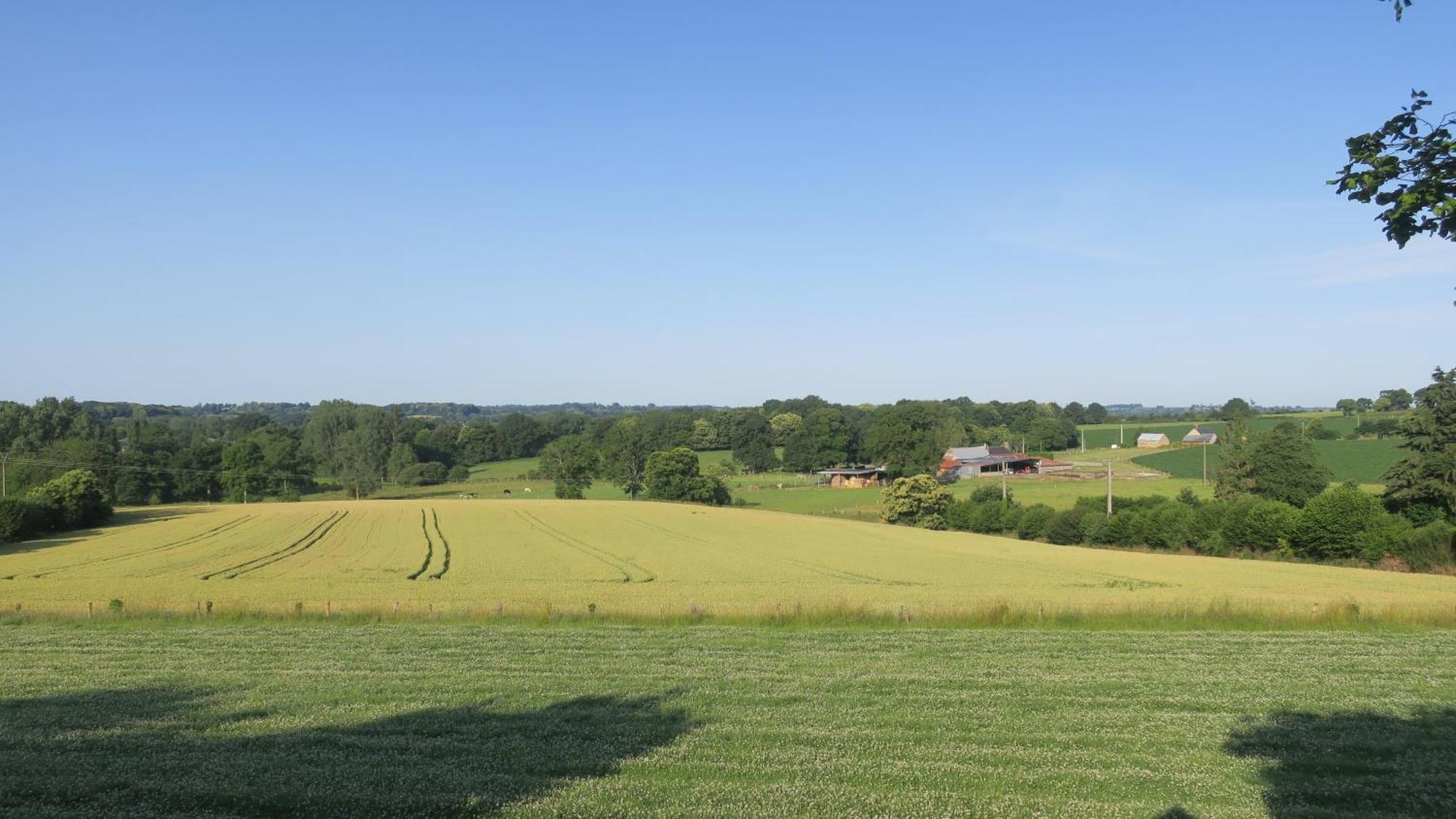 Une Maison A La Campagne Saint-Mars-sur-la-Futaie エクステリア 写真